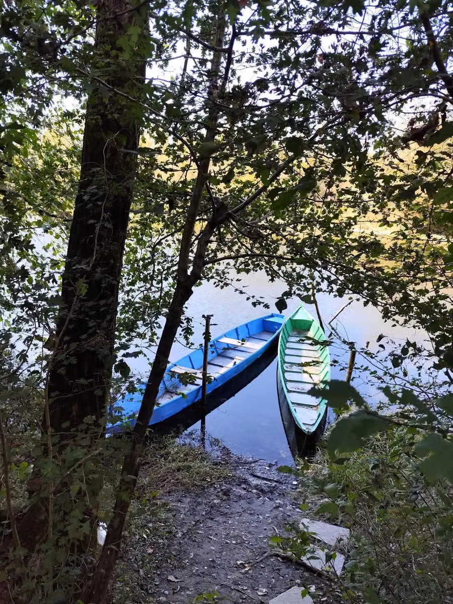 La lanca del Ticino vicino al B&B Barbettini