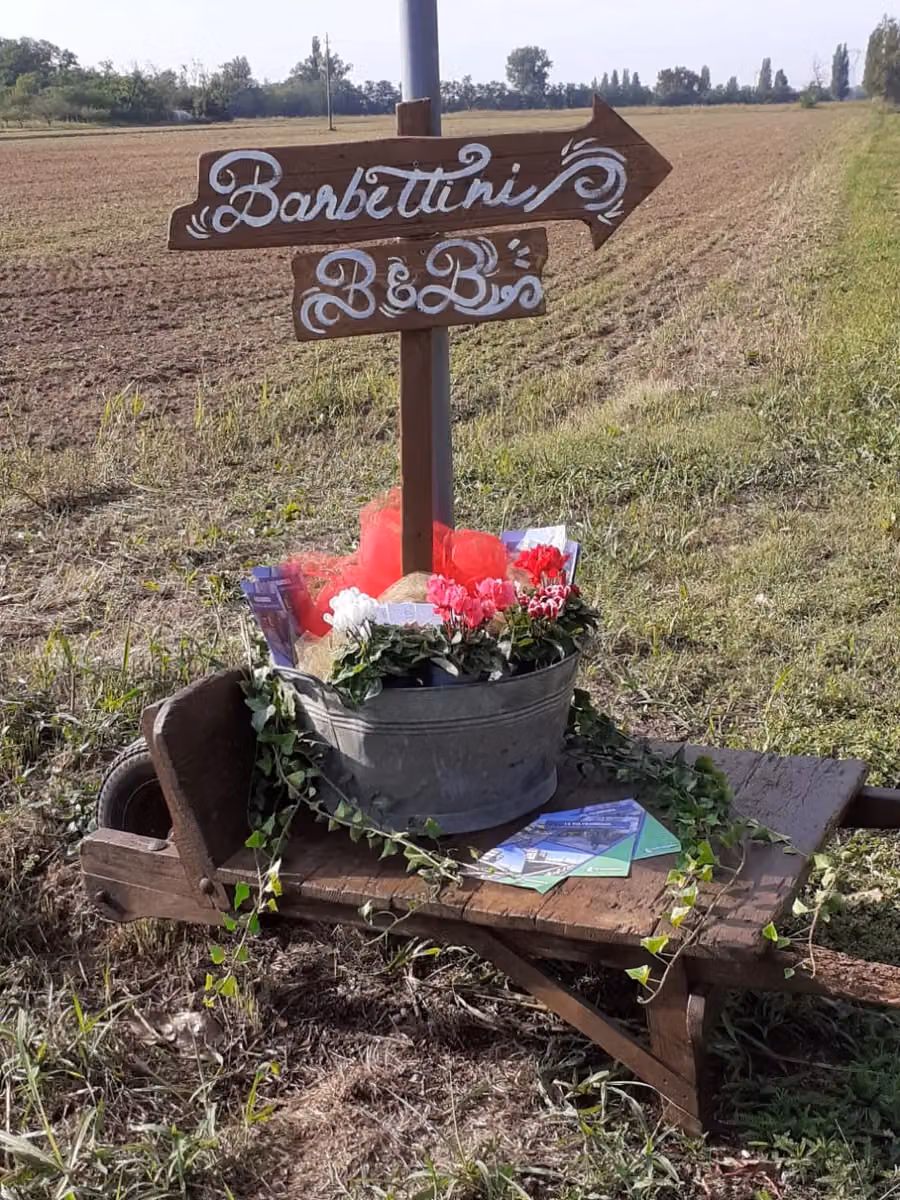 Un angolo degli esterni del B&B Barbettini con piante e fiori